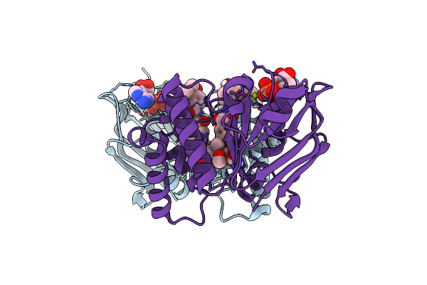 6B89 image