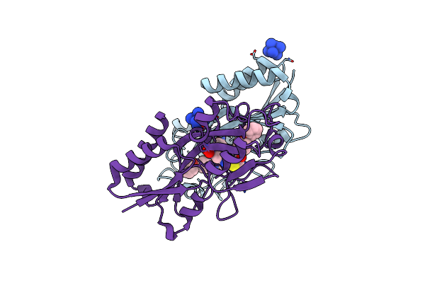 6B8A image