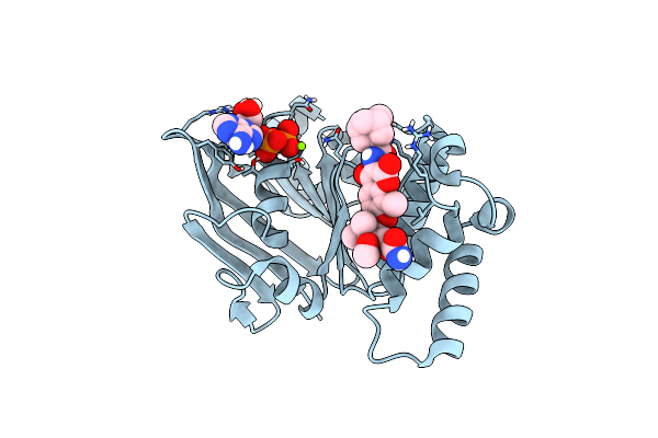6B8B image