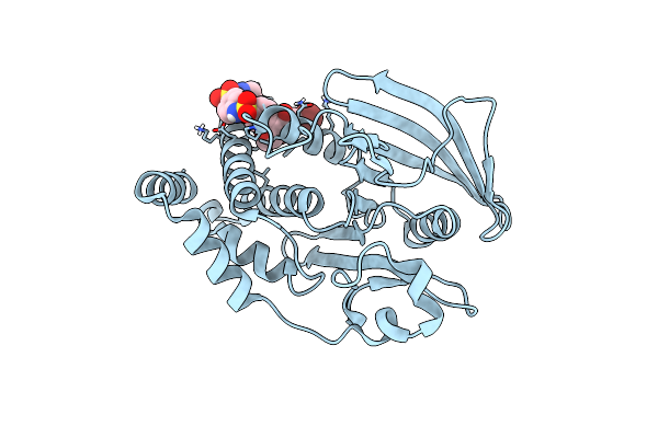 6B8Z image