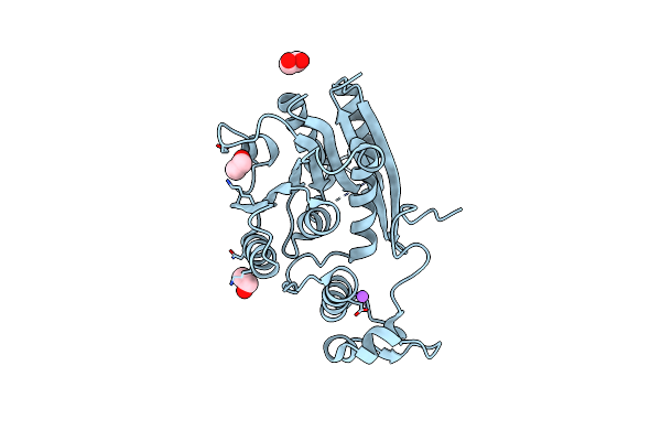 6B91 image