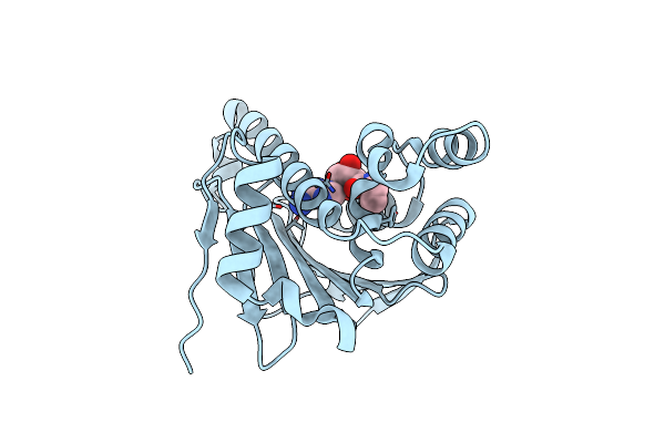6B99 image