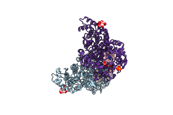 6B9B image