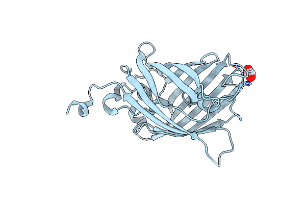 6B9C image
