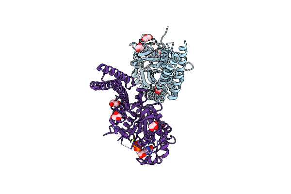 6B9D image
