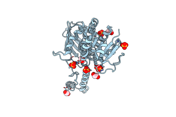 6BAC image