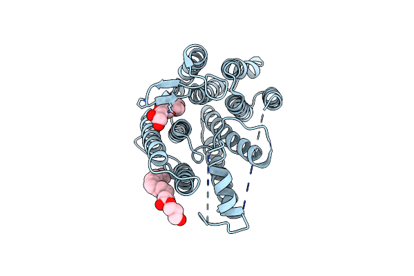 6BAR image