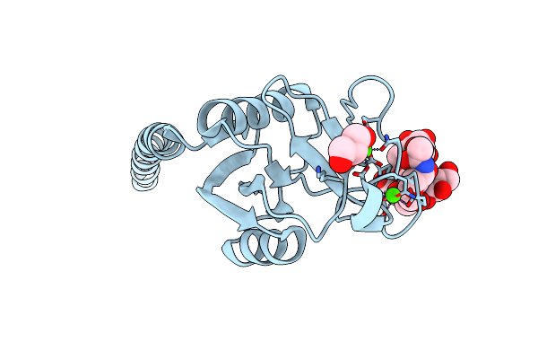 6BBD image