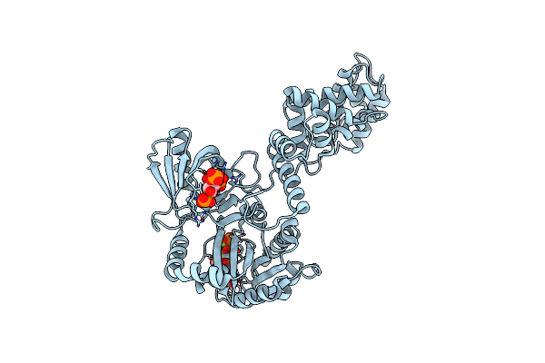 6BBP image