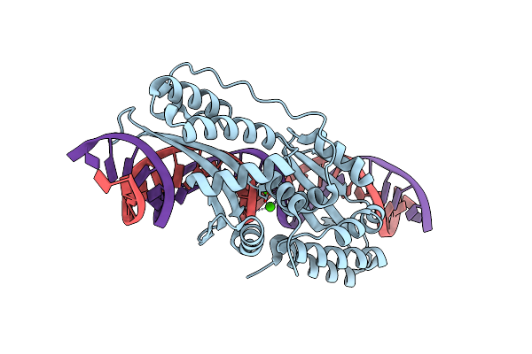 6BCI image