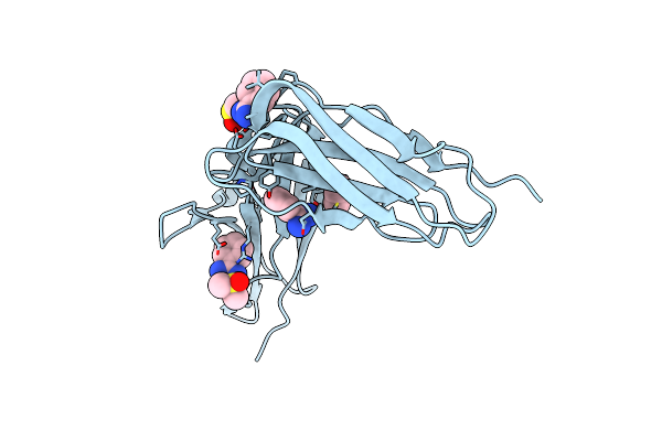 6BCS image