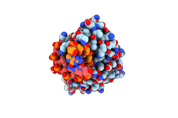 6BDA image