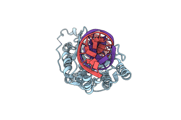 6BDB image