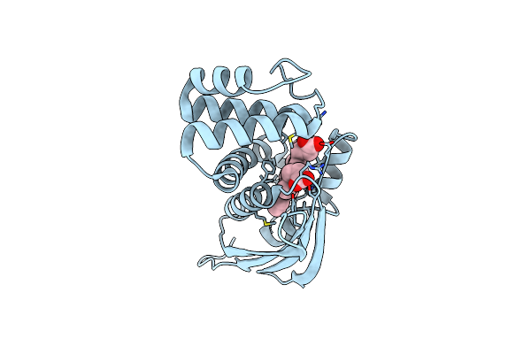 6BDD image