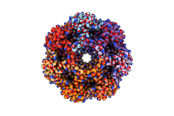 6BDF image
