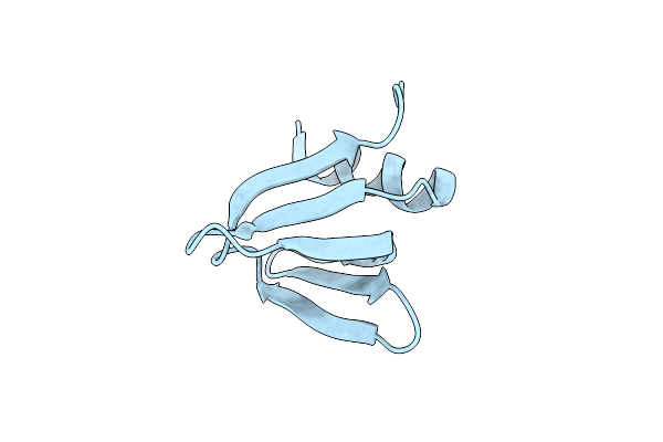 6BDG image