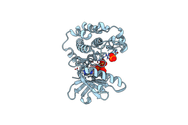 6BDN image