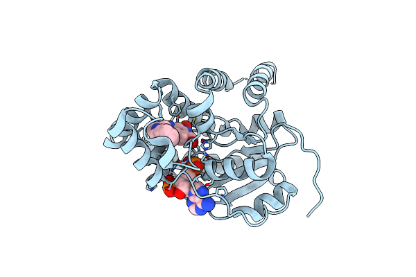 6BDP image