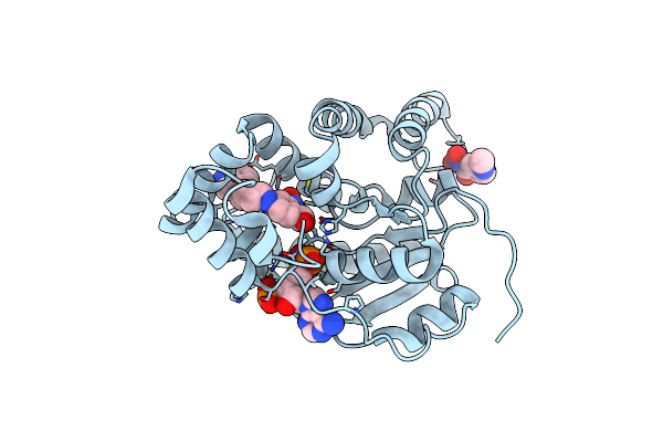 6BDR image