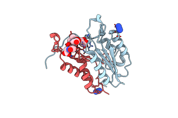 6BDV image