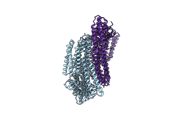 6BFI image