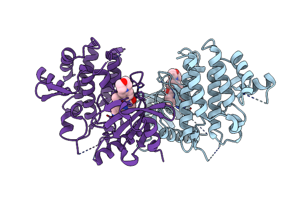 6BFN image