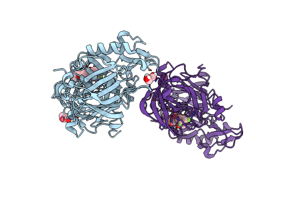 6BFX image