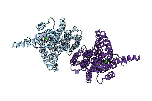 6BGI image