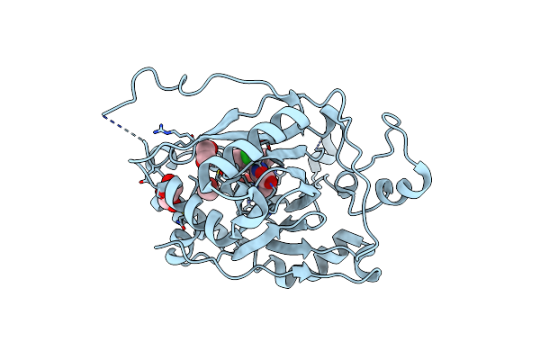 6BGX image
