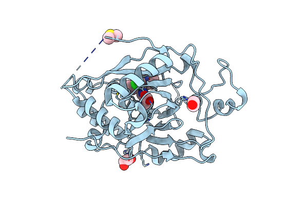 6BH1 image