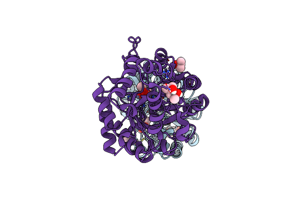 6BH7 image