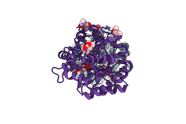 6BHL image