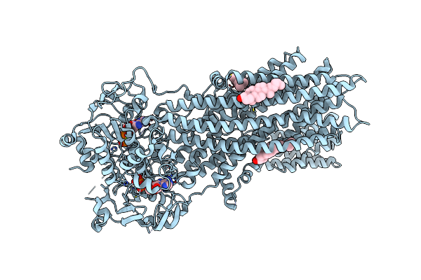 6BHU image