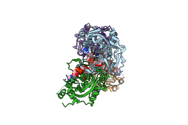 6BHV image