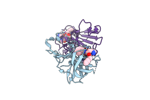 6BIB image