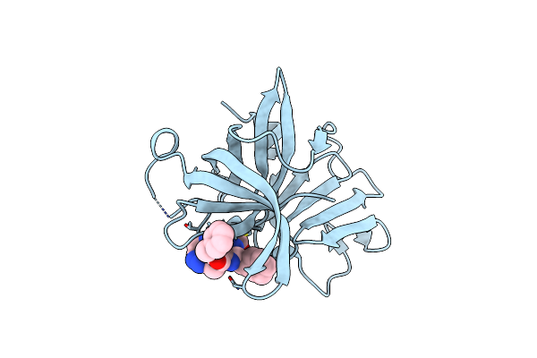 6BID image