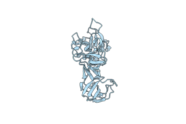 6BIO image