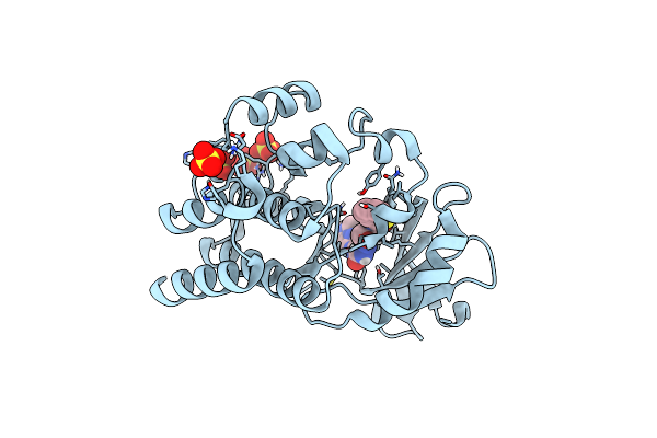6BKH image