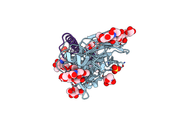 6BKT image