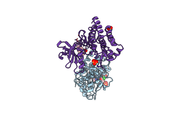 6BL8 image
