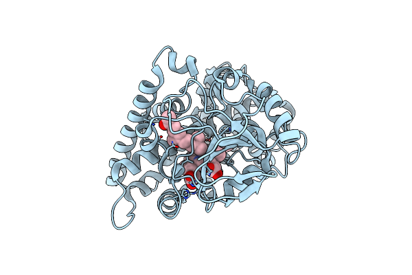6BLD image