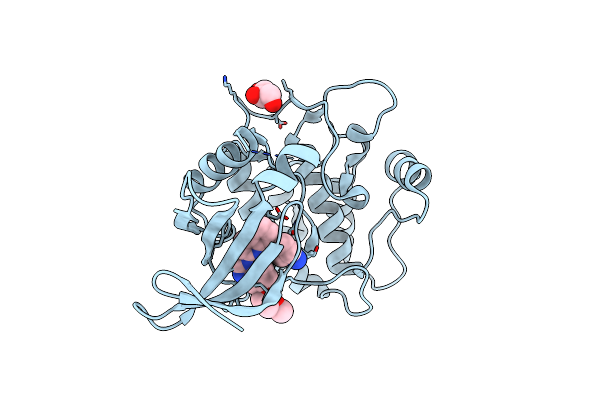 6BLE image