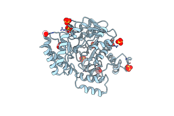 6BLG image