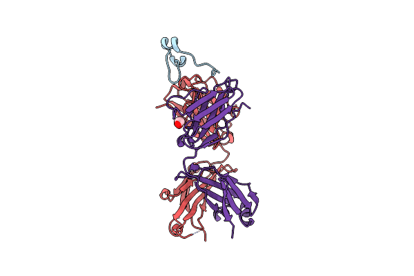 6BLH image