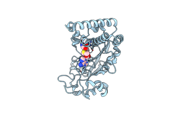 6BM5 image