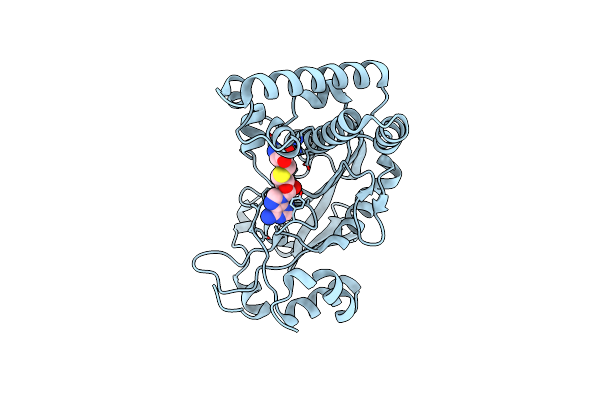 6BM6 image
