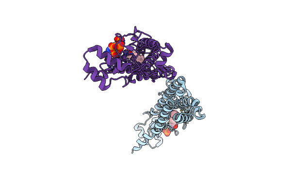 6BML image
