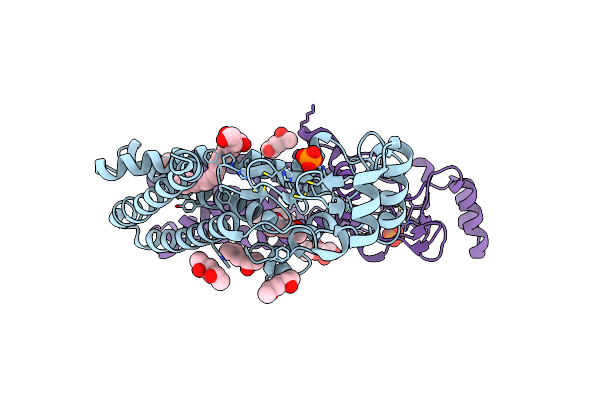 6BMM image