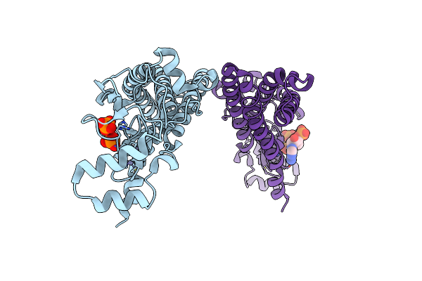 6BMN image