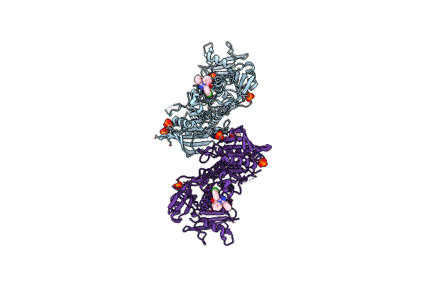 6BMR image